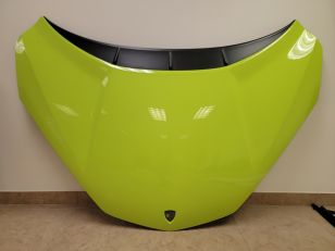 Lamborghini Revuelto OEM Hood (Factory Take-Off)