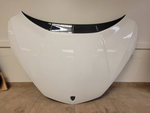 Lamborghini Revuelto OEM Hood (Factory Take-Off)