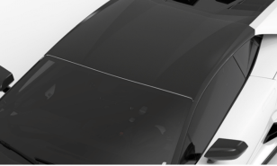 1016 Industries Carbon Fiber Race Roof for Lamborghini Huracan Tecnica 2023+