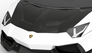 1016 Industries Carbon Fiber Race Hood for Lamborghini Aventador LP700 2011-2016