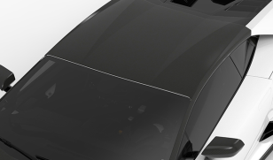 1016 Industries Carbon Fiber Roof for Lamborghini Huracan EVO 2019-2024